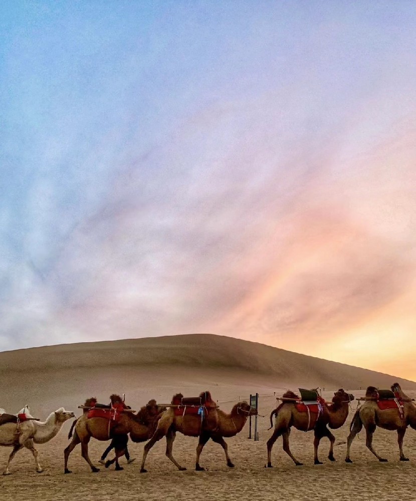 聚团队之力，探成长之路：四川巴地国旅的企业团建与研学专业服务