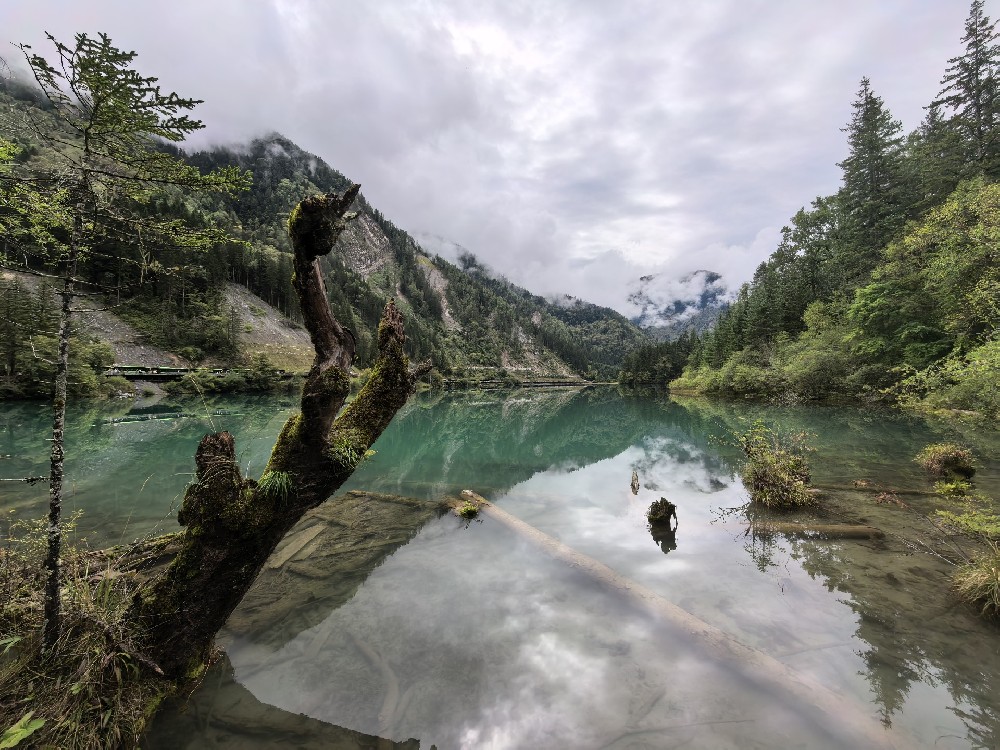 专业企业团建与商务活动策划，四川巴地国际旅行社为企业赋能